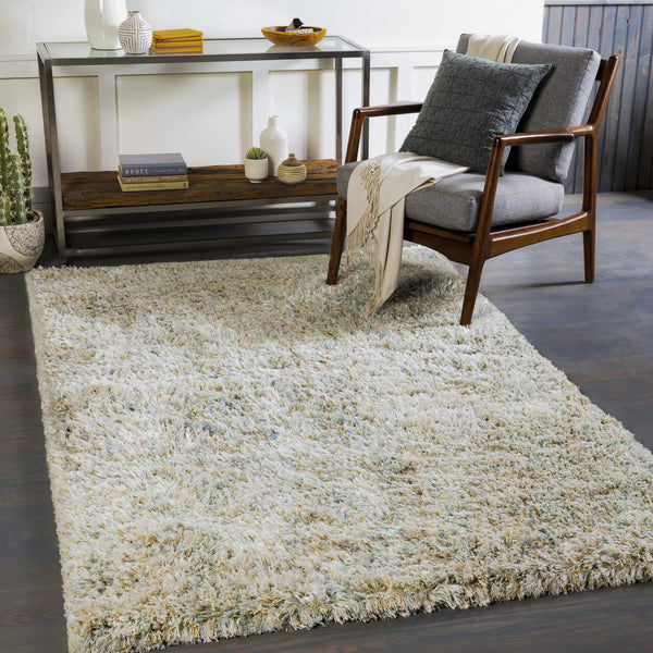 Kaibito Area Rug - Clearance