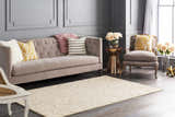 Living room scene with tan Kake Carpet, gray walls, and a neutral sofa with decorative pillows. Roomscene-Rectangle