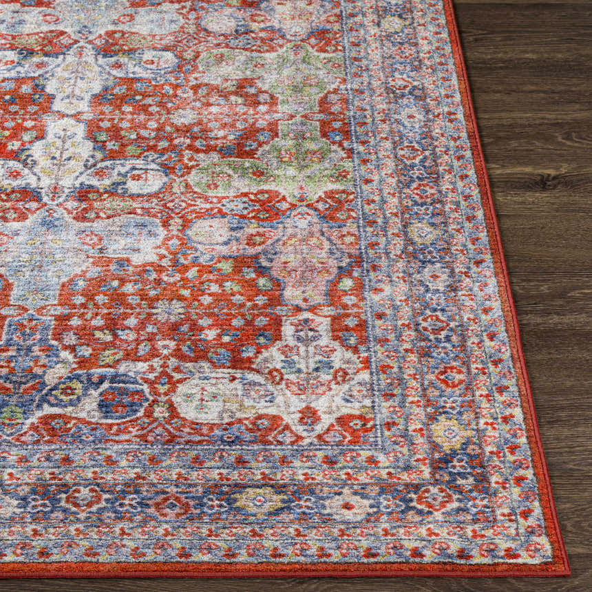 Close-up of the Kangundo Washable Area Rug in blush, cream, red, and blue with a traditional oriental pattern. Front