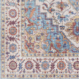 Kapaa Traditional Area Rug