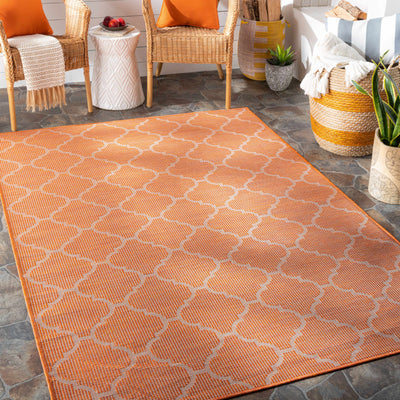 Unique Outdoor Trellis Area Rug, Rust Red - Clearance