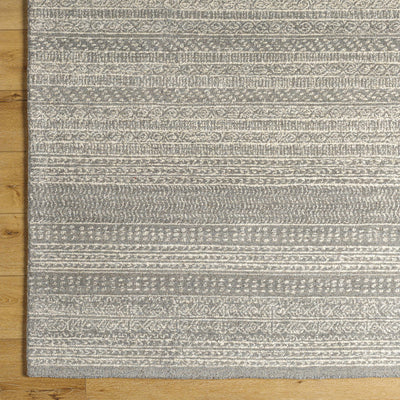 Kavi Area Rug