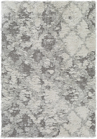 Kilgetty Gray Shag Area Carpet