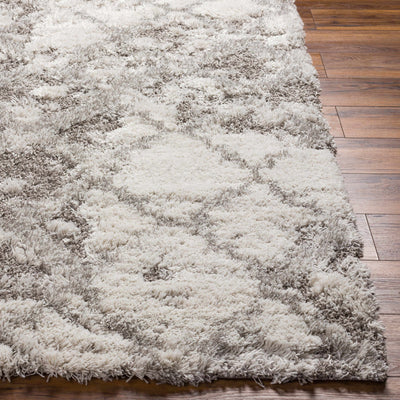 Kilgetty Gray Shag Area Carpet