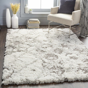 Kilgetty Gray Shag Area Carpet