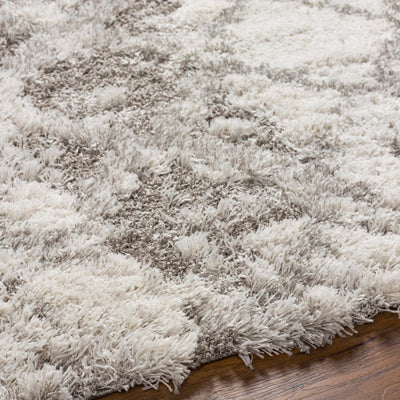 Kilgetty Gray Shag Area Carpet