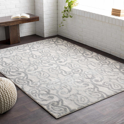 Kingman Area Rug - Clearance