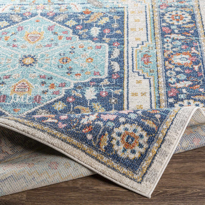 Knowle 8x10 Traditional Blue Rug - Clearance