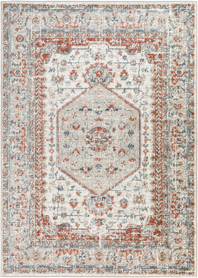 Kraaifontein Traditional Area Rug - Clearance