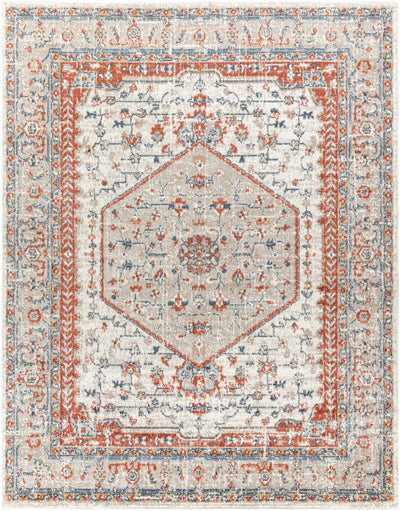 Kraaifontein Traditional Area Rug - Clearance