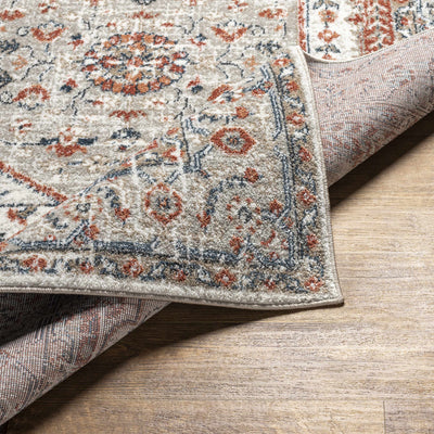 Kraaifontein Traditional Area Rug - Clearance