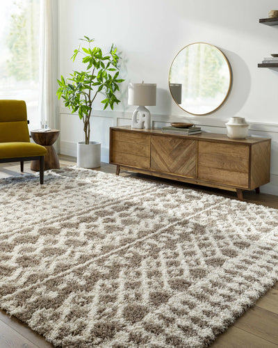 Kato Shag Area Rug