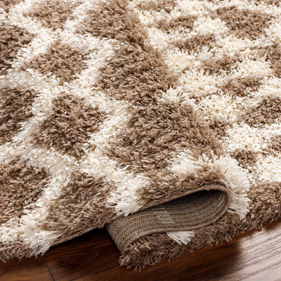 Kato Shag Area Rug