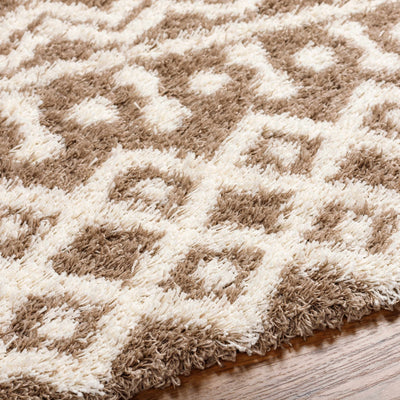 Kato Shag Area Rug