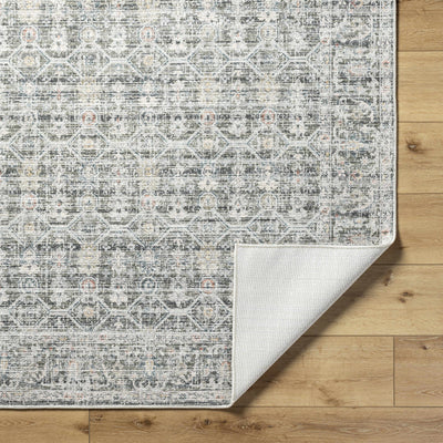 Kaili Area Rug