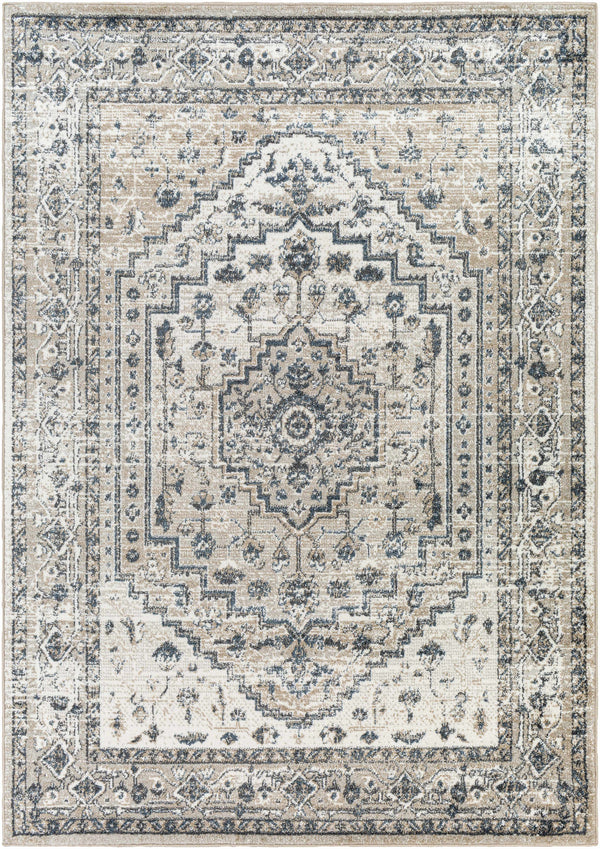 Labnig Traditional Area Rug - Clearance