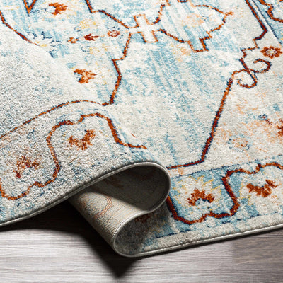 Tagusao Blue & Rust Area Rug - Clearance