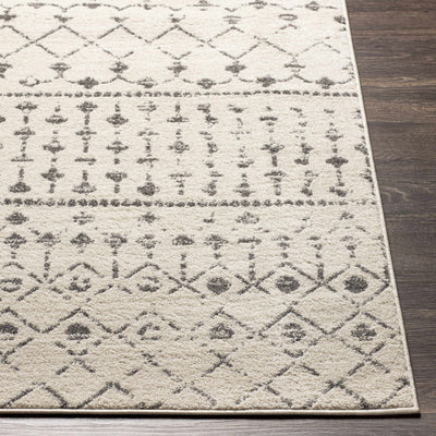 Lamian Area Rug - Clearance