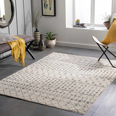 Lamian Area Rug - Clearance