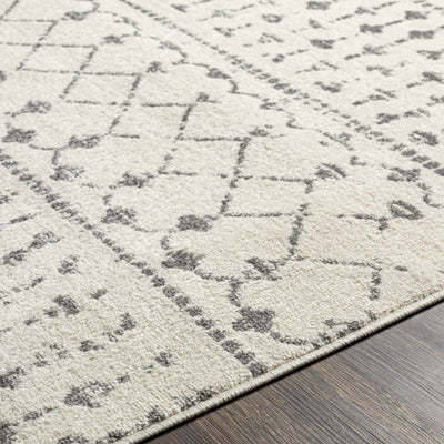 Lamian Area Rug - Clearance