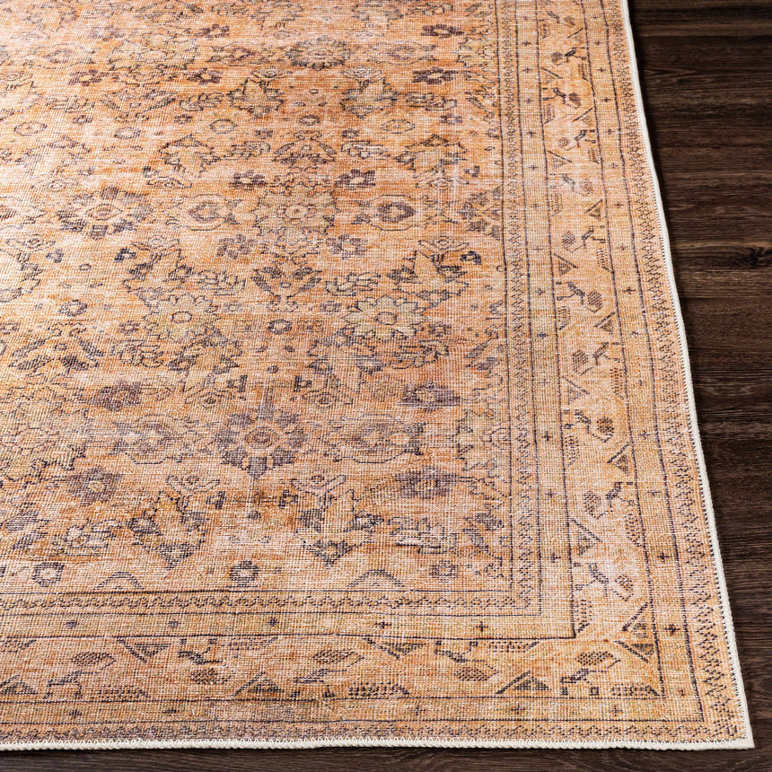 Lapining Washable Area Rug - Clearance