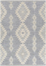 Alburg Southwestern Gray Area Rug - Clearance