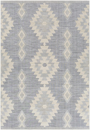 Alburg Southwestern Gray Area Rug - Clearance