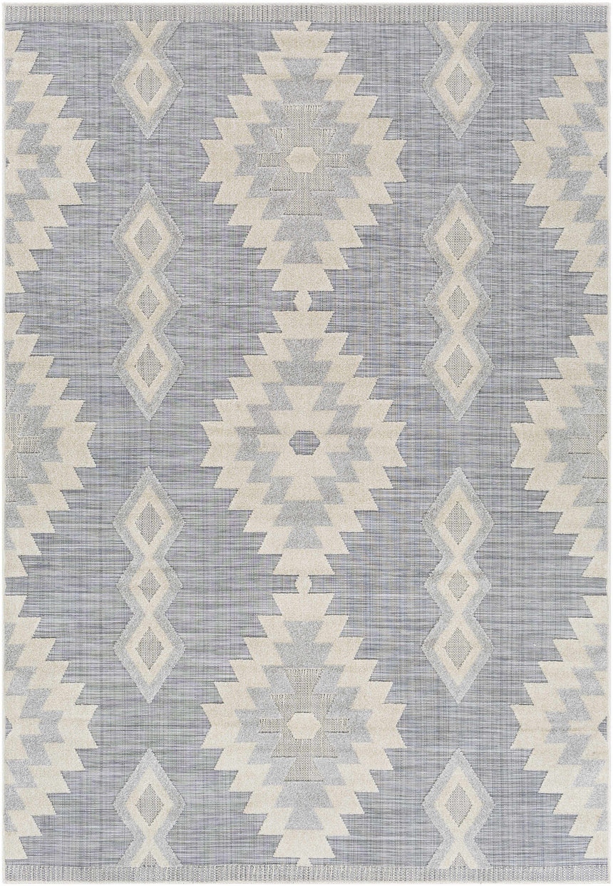 Alburg Southwestern Gray Area Rug - Clearance
