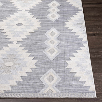 Alburg Southwestern Gray Area Rug - Clearance