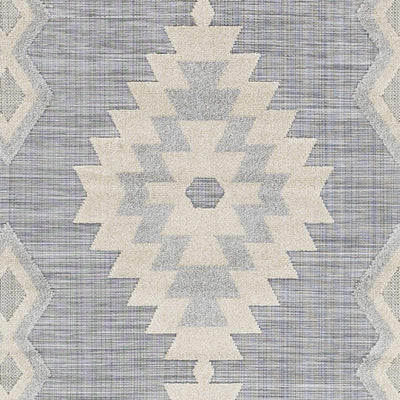 Alburg Southwestern Gray Area Rug - Clearance