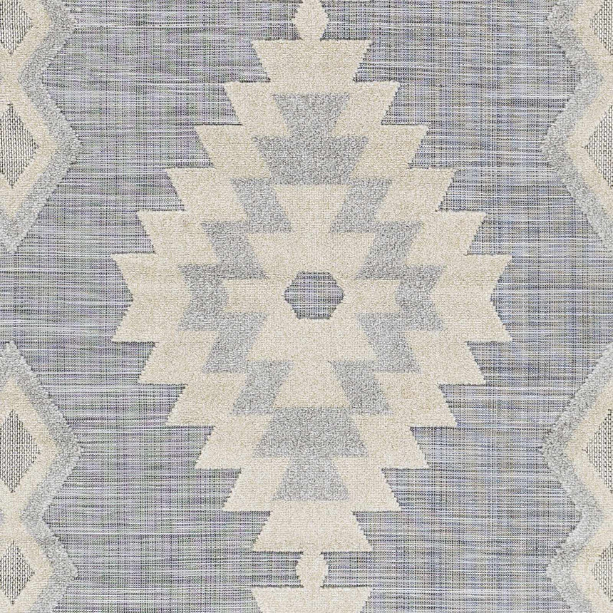 Alburg Southwestern Gray Area Rug - Clearance