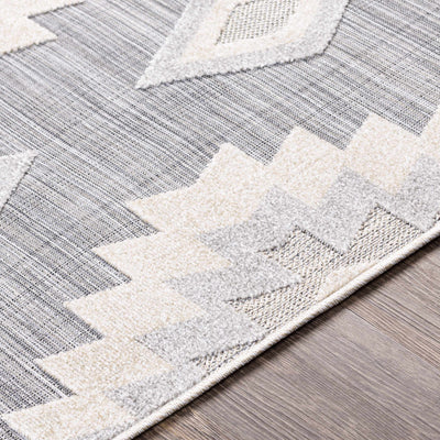 Alburg Southwestern Gray Area Rug - Clearance