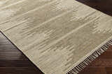 Close up of the hand woven Lucasville Area Rug, with a beige and white striped design and fringe. Corner