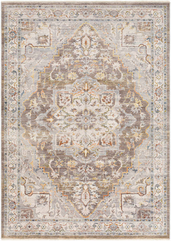 Detailed LeChee Area Rug - Clearance with a traditional oriental pattern in brick red, brown, gray, and blue hues. Design-Rectangle-58