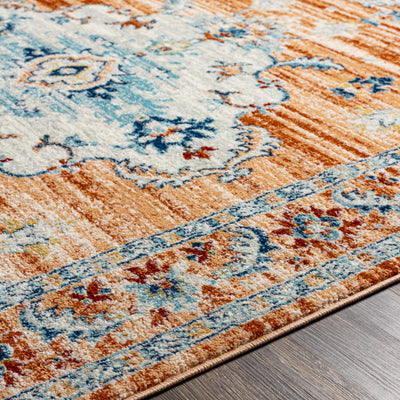 Liciada Area Rug - Clearance