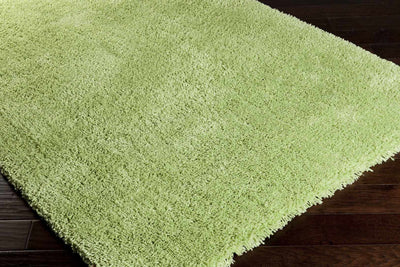 Lincolnton 2x3 small Carpet - Clearance