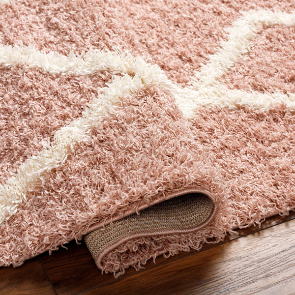 Linh Pink Shag Area Rug