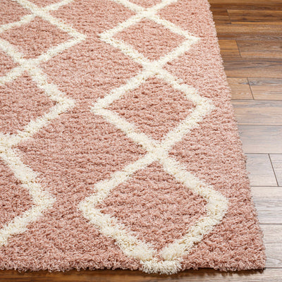 Linh Pink Shag Area Rug