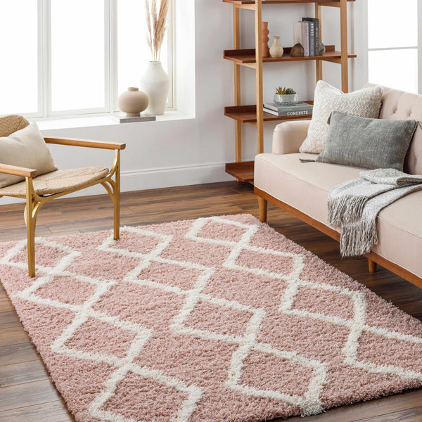 Linh Pink Shag Area Rug