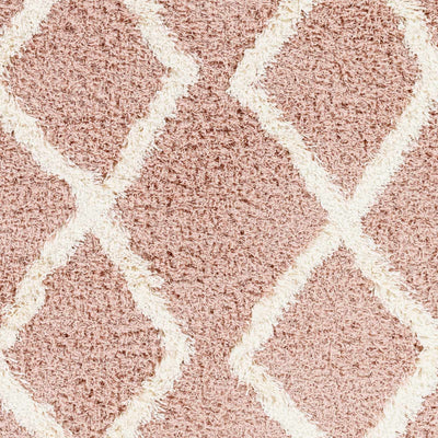 Linh Pink Shag Area Rug