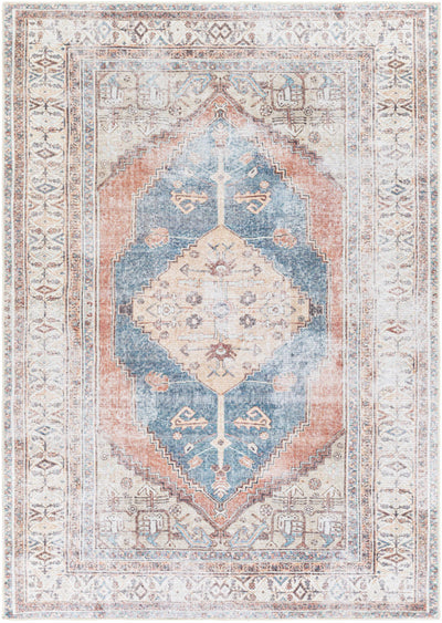 Lake Washable Area Rug - Clearance