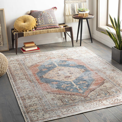 Lake Washable Area Rug - Clearance