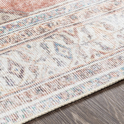 Lake Washable Area Rug - Clearance