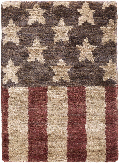 Historical Primitive US Flag 8x11 Carpet - Clearance