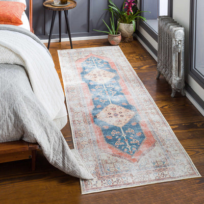 Lake Washable Area Rug - Clearance