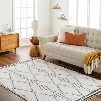 Allan Area Rug