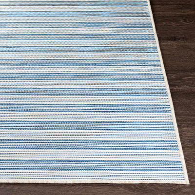 Alliston Flatweave Area Carpet - Clearance