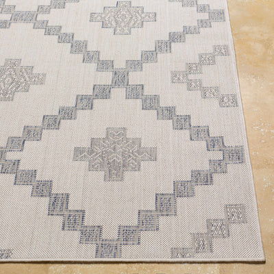 Lanigan Indoor & Outdoor Rug - Clearance