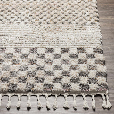 Loacan Area Rug - Clearance