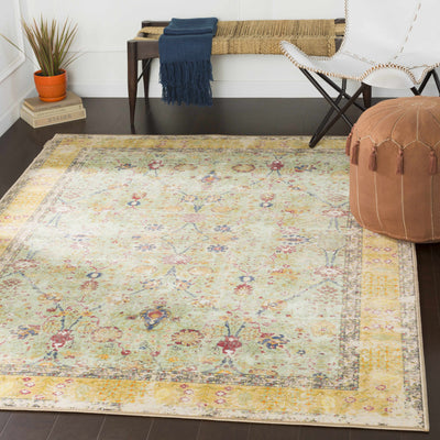 Inkster Clearance Rug